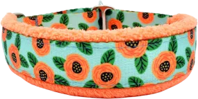 1" Josie Everyday Limited Slip Collar