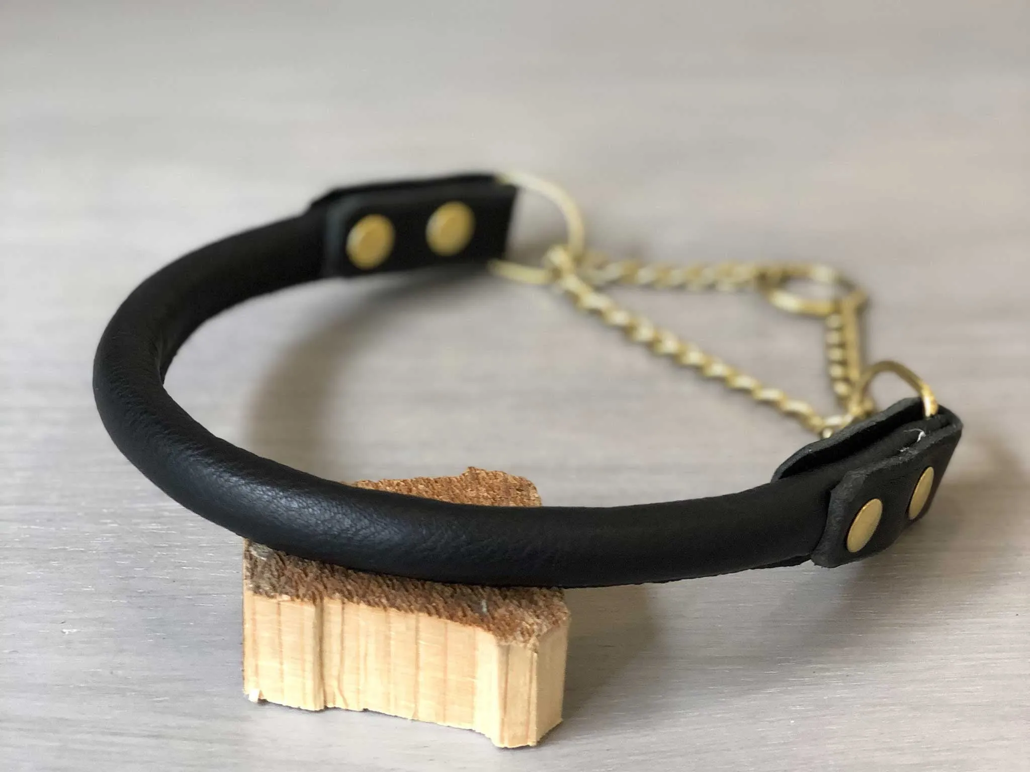 Bicolored Rolled Leather Martingale Dog Collar