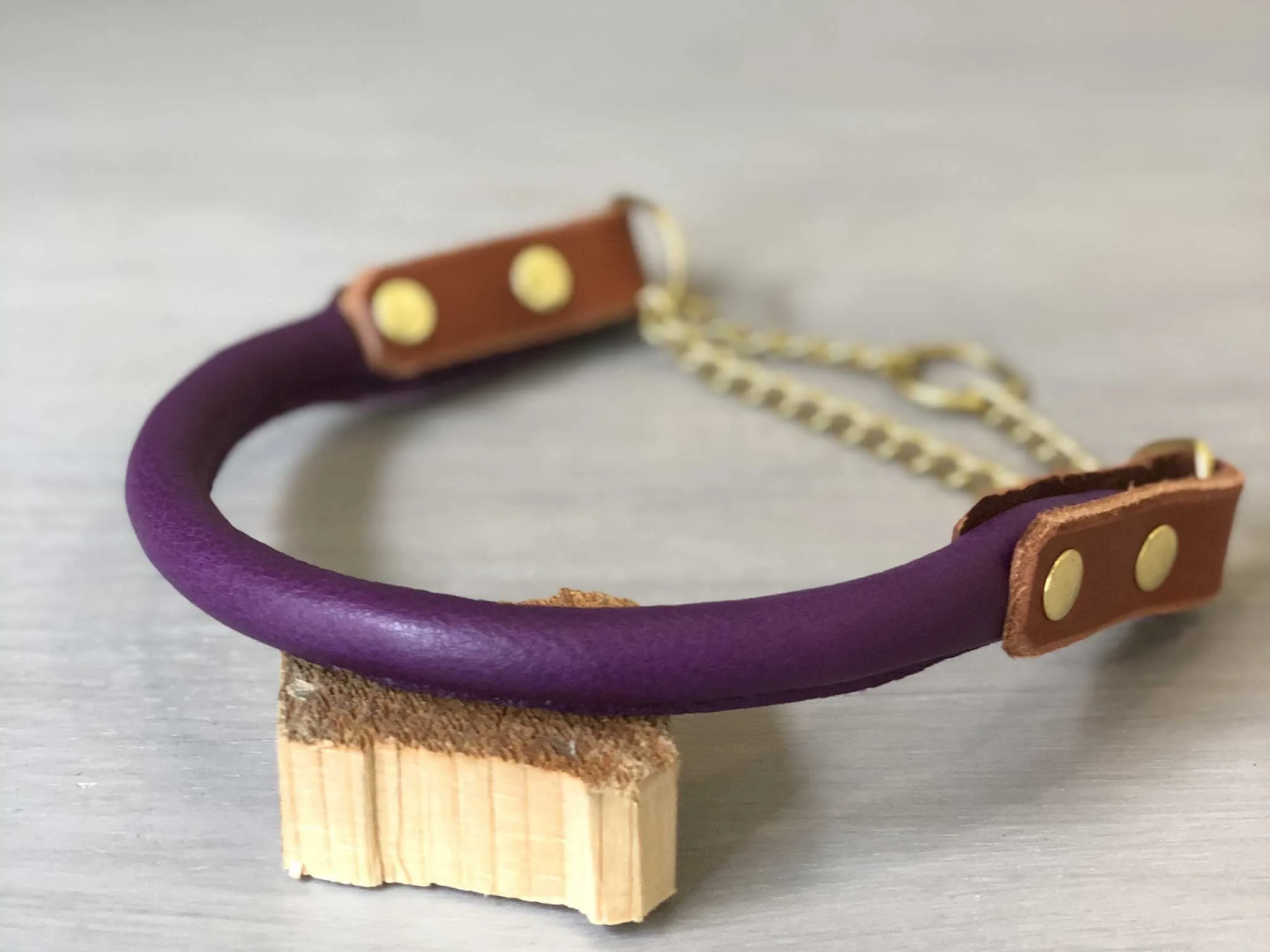 Bicolored Rolled Leather Martingale Dog Collar