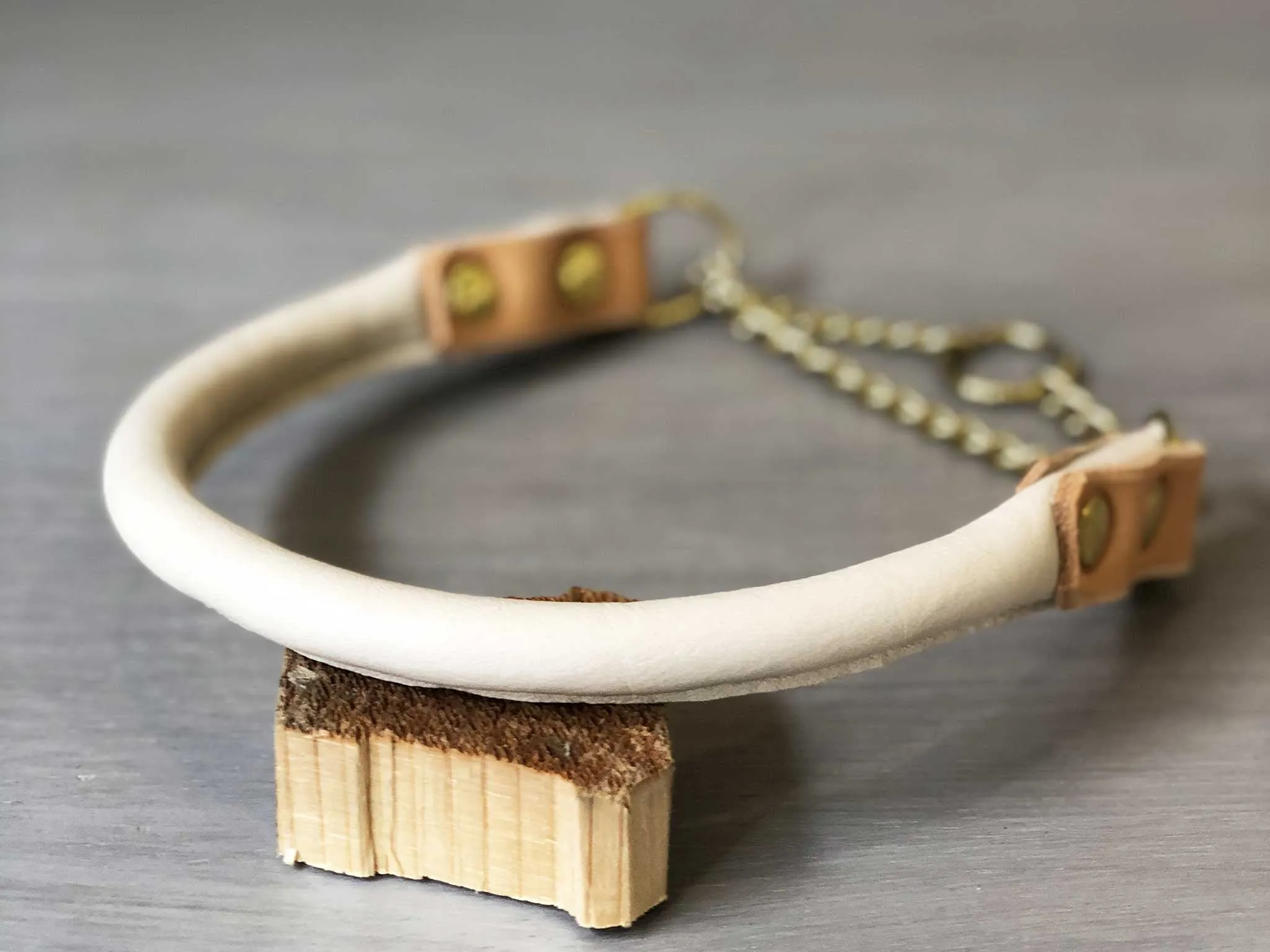 Bicolored Rolled Leather Martingale Dog Collar