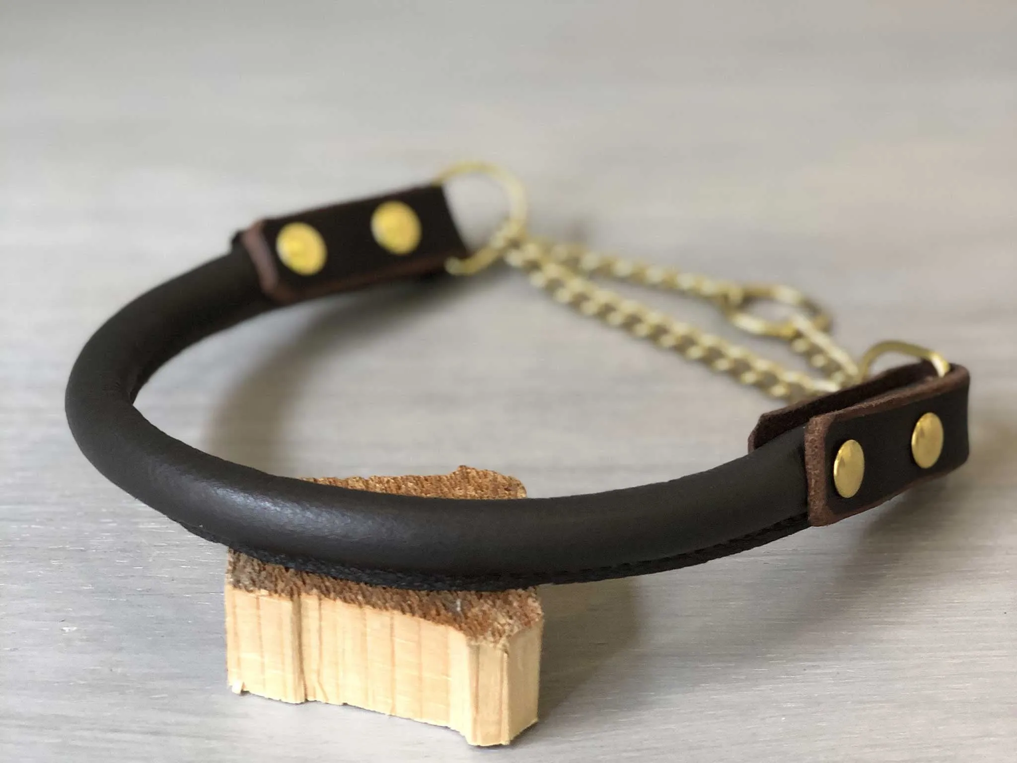 Bicolored Rolled Leather Martingale Dog Collar