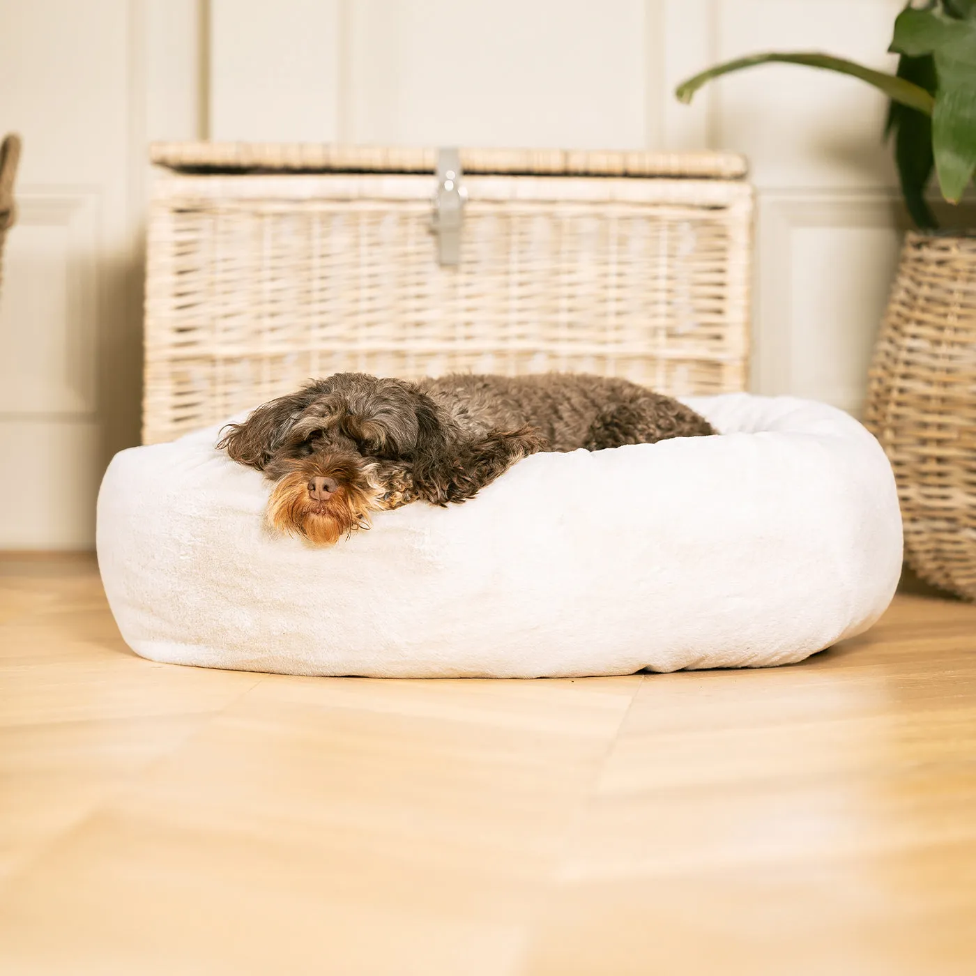 Calming Anti-Anxiety Donut Bed With Removable Covers in Cream Faux Fur by Lords & Labradors