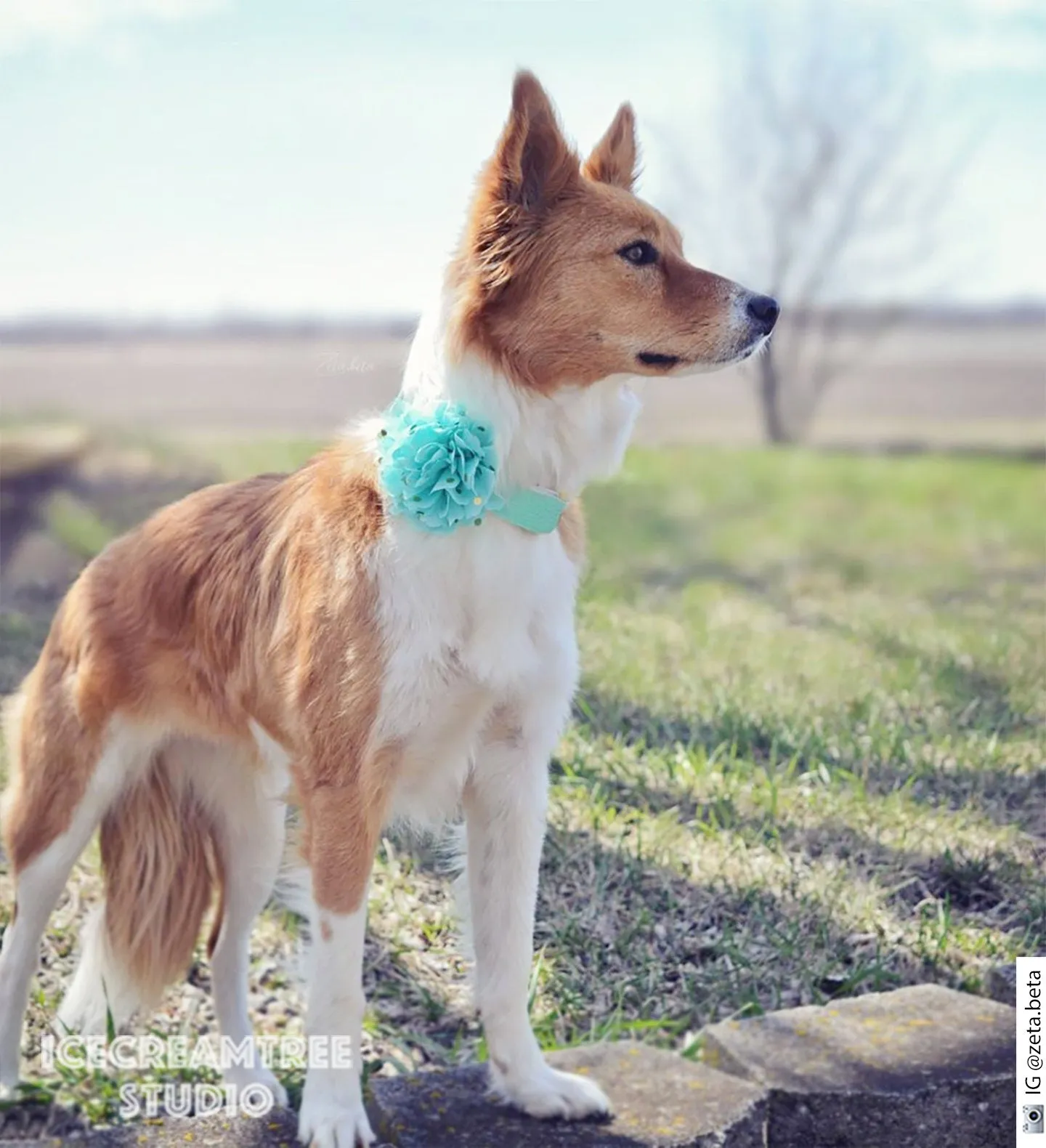 Cream Pink Aqua Bouquet Flower Collar Slide On - Bouquet Flowers Collar Accessory