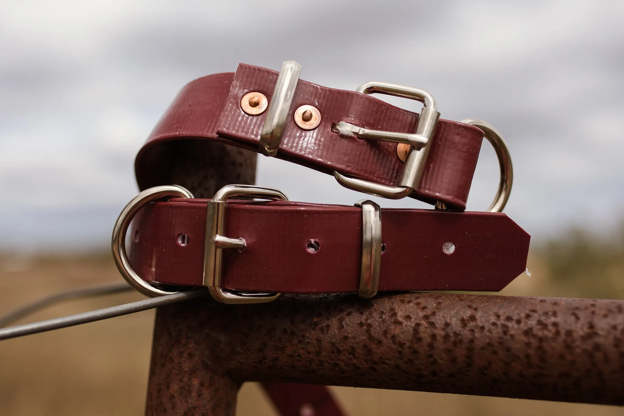 Dog Collar PVC 32mm x 70cm - Maroon