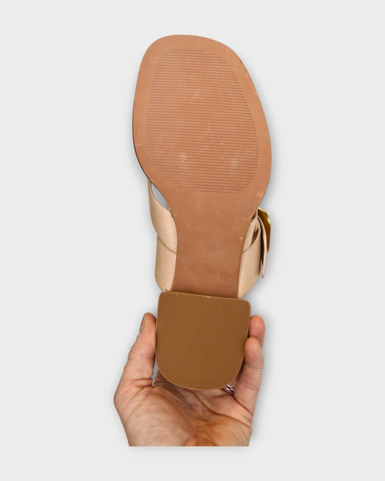 EOS Teia