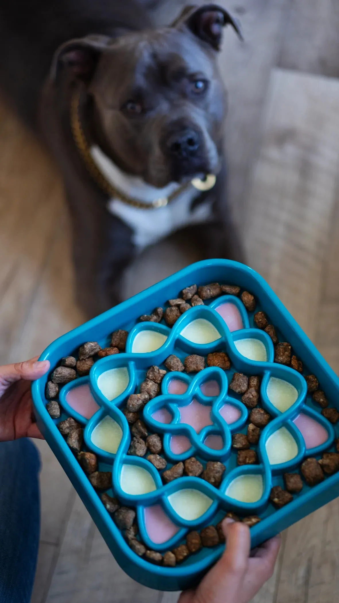 Interactive Square Dog Slow Feeder, 8 cup Capacity