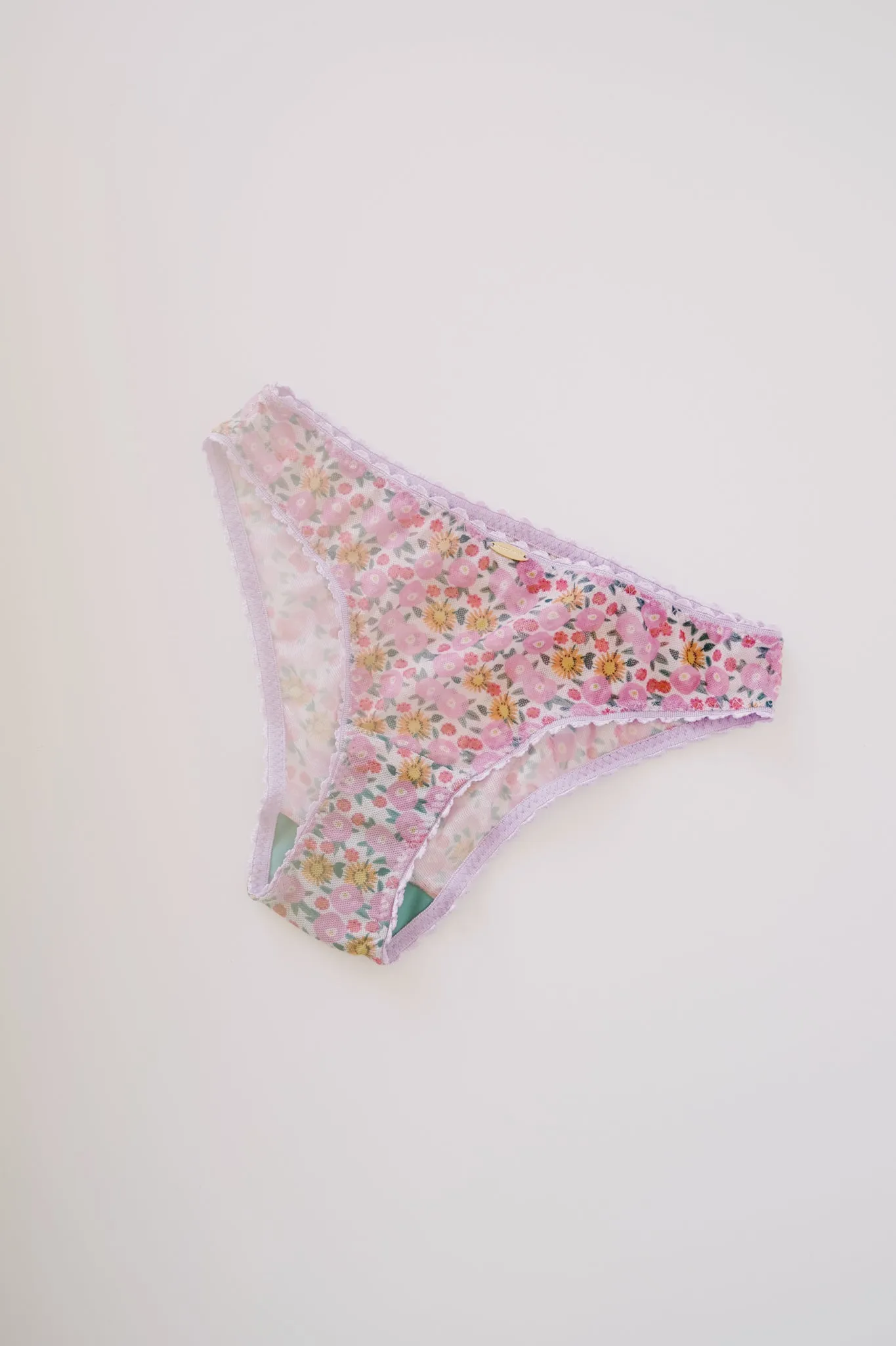 mesh knickers - mary bikini