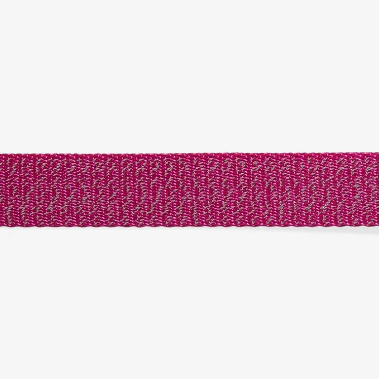 Nox Sidus Dog Collar