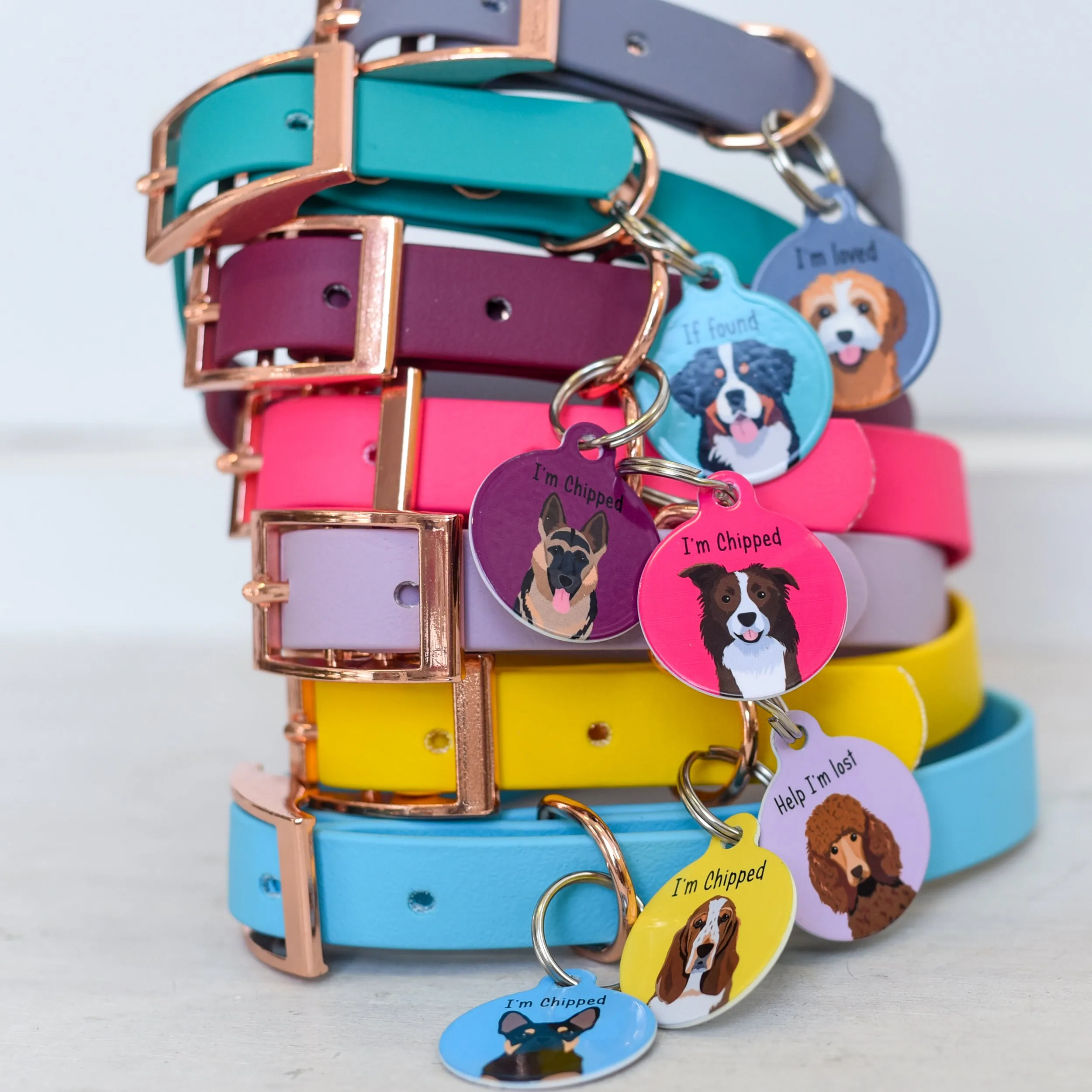 Personalised Dog Collar and Realistic ID Tag
