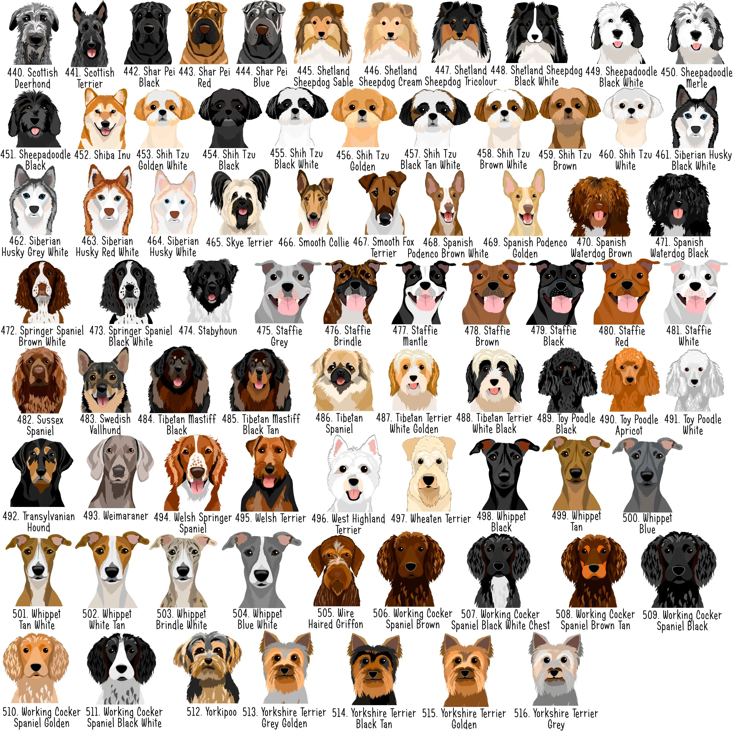 Personalised Dog Collar and Realistic ID Tag