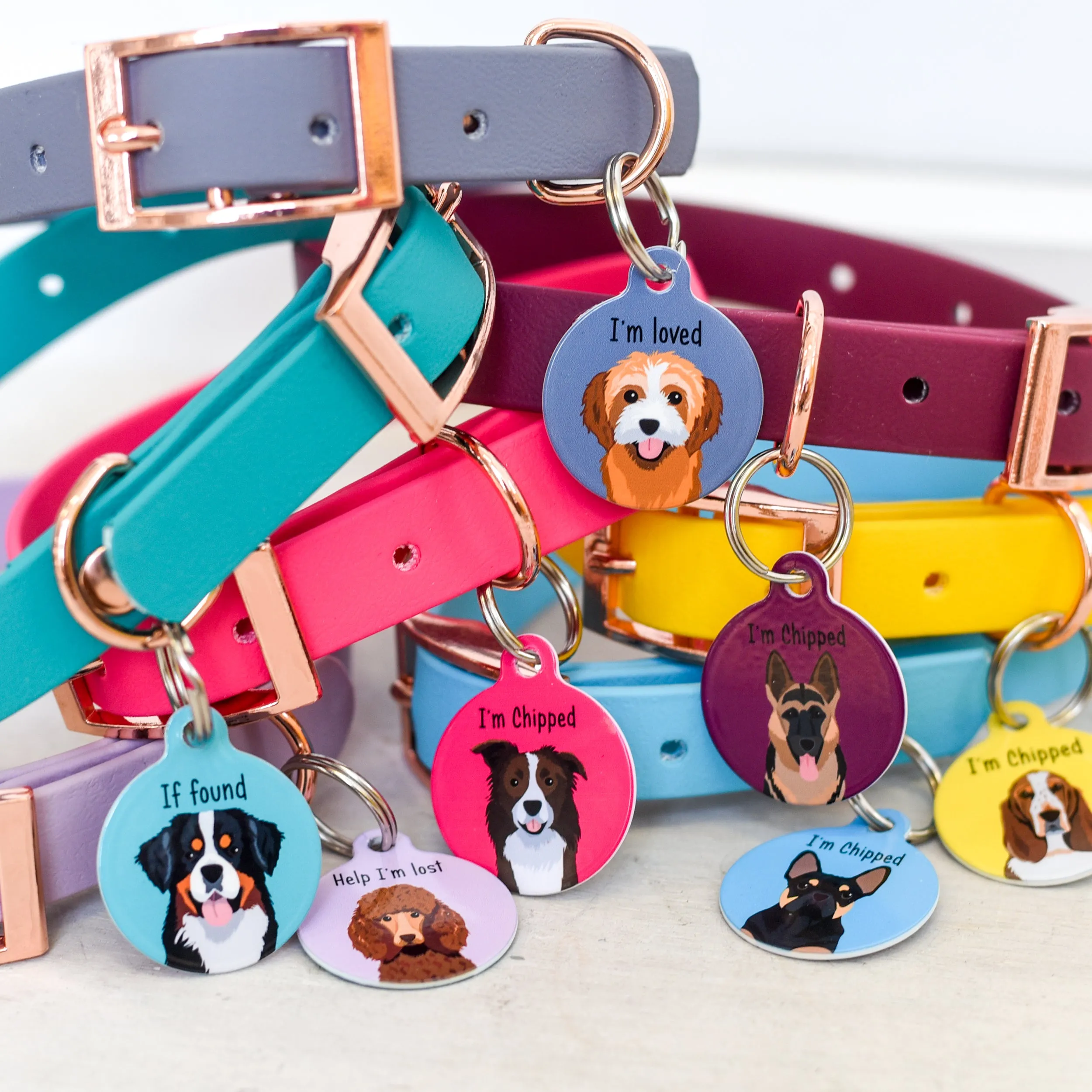 Personalised Dog Collar and Realistic ID Tag