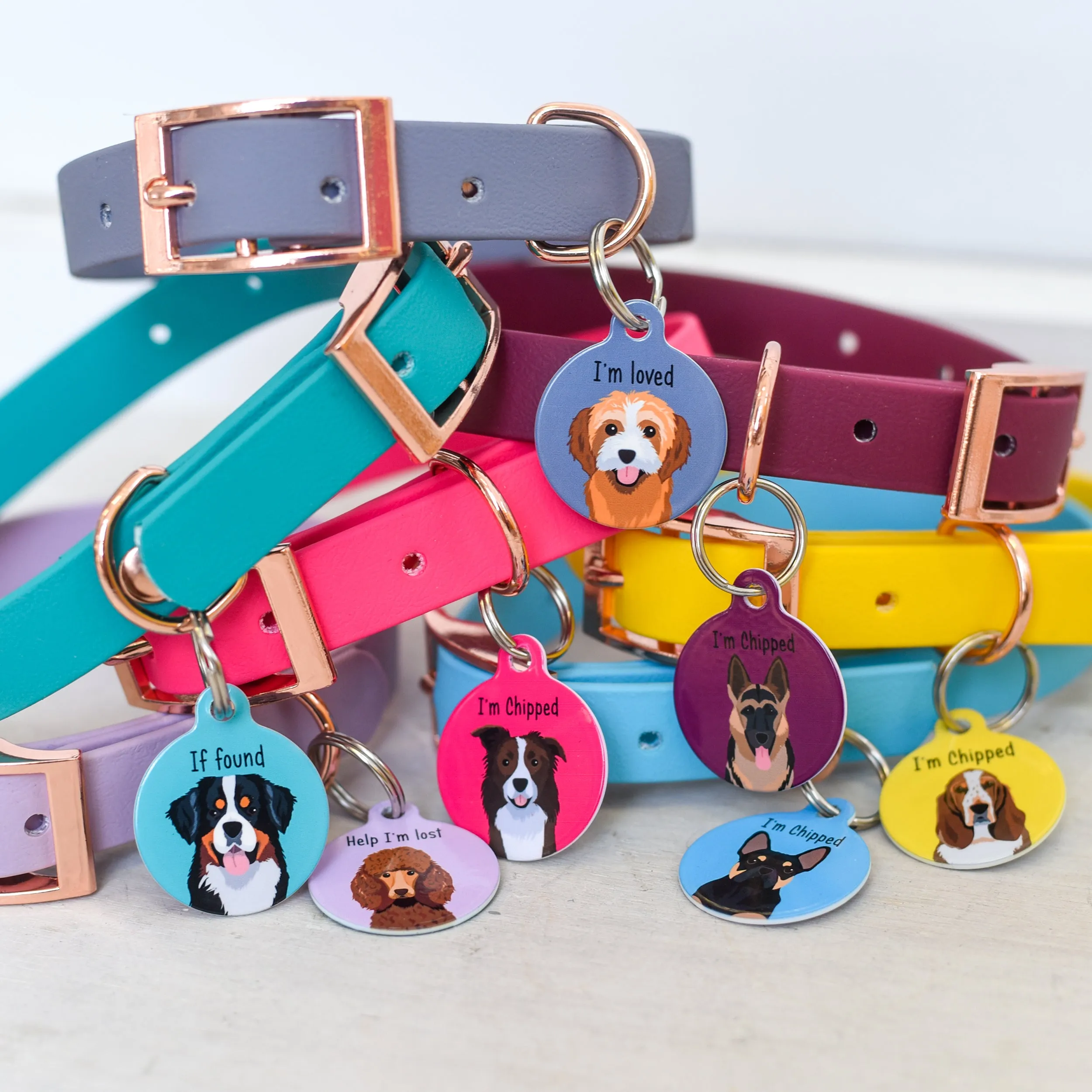 Personalised Dog Collar and Realistic ID Tag