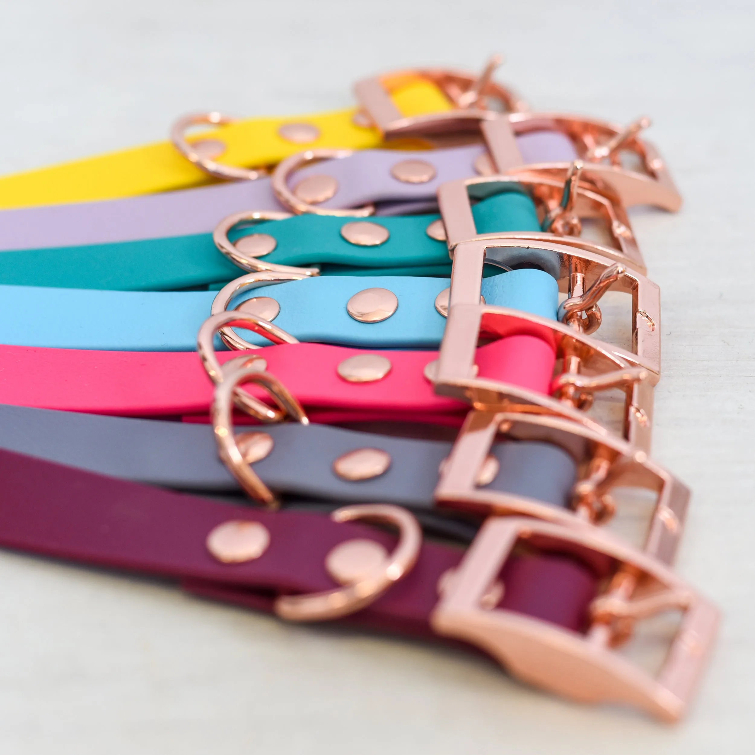Personalised Dog Collar and Realistic ID Tag