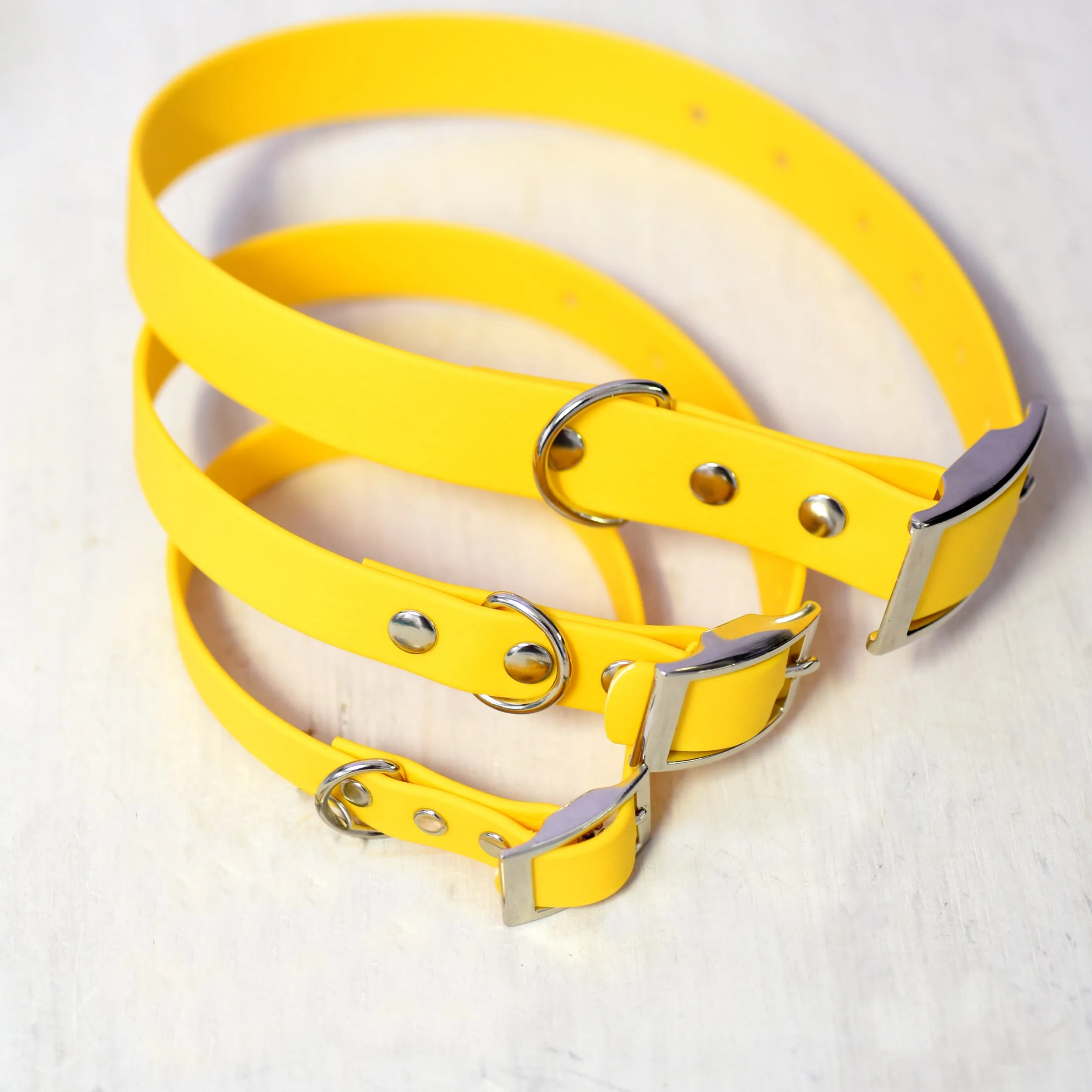 Personalised Dog Collar and Realistic ID Tag