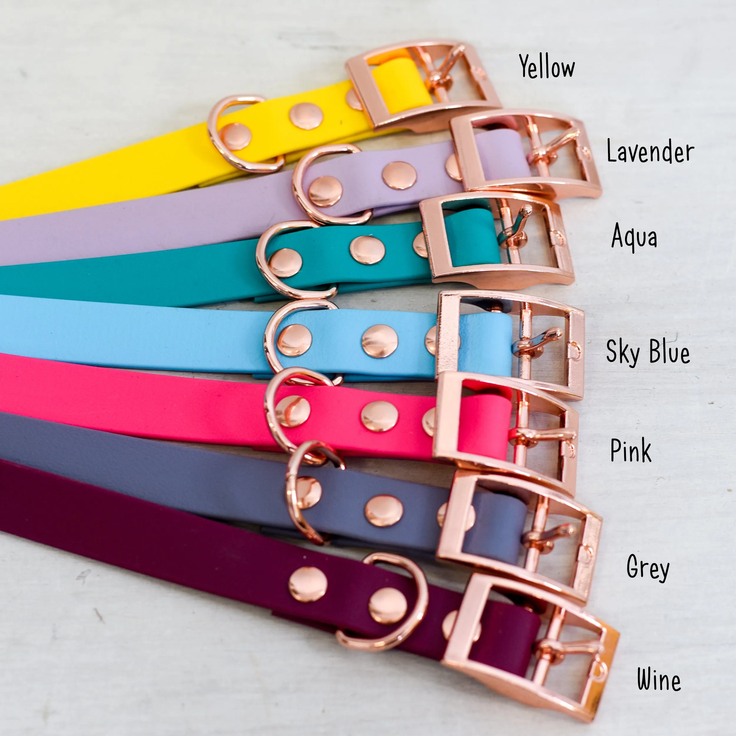 Personalised Dog Collar and Realistic ID Tag
