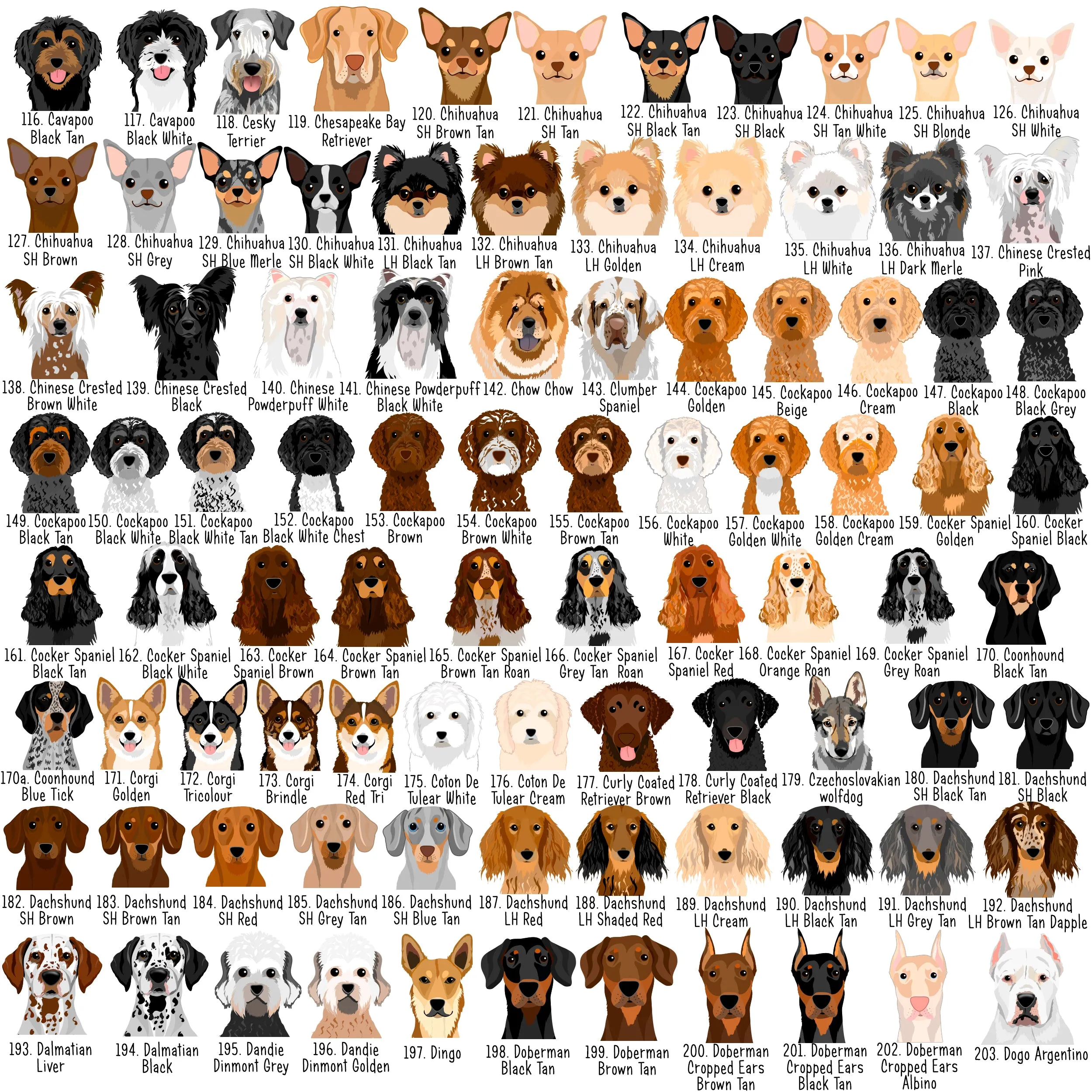 Personalised Dog Collar and Realistic ID Tag