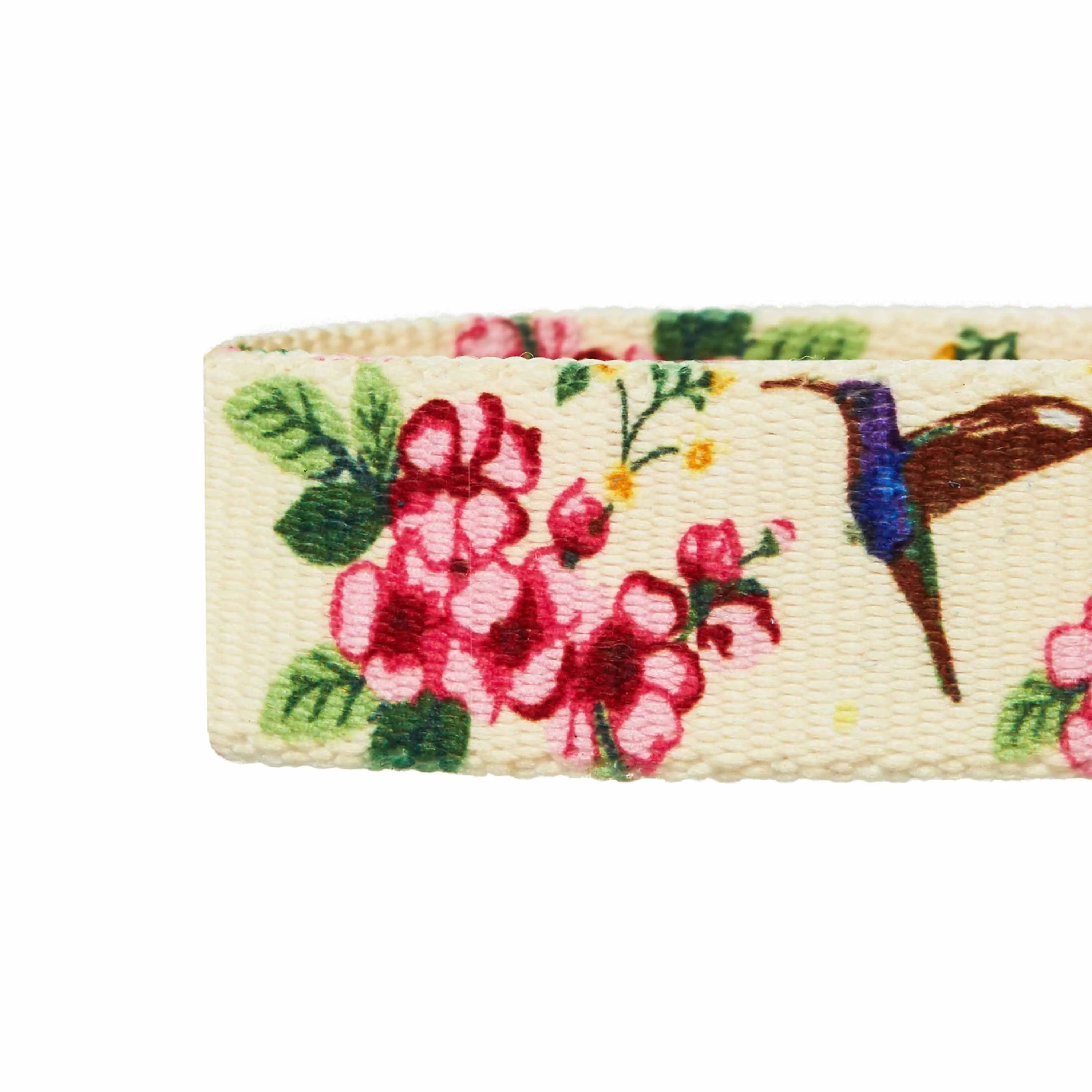 Petal Paws Floral Flower and Hummingbird Dog Collar