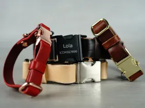 Quick Release Dog Collar in 5 Leather Colors and Custom Hardware
