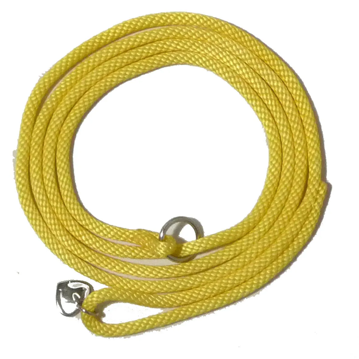 Slip Leads Shoestring 60"