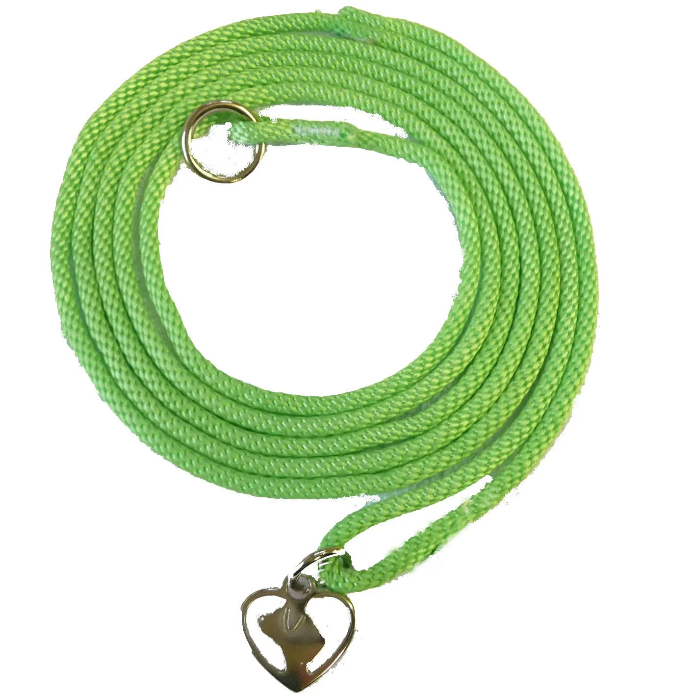 Slip Leads Shoestring 60"