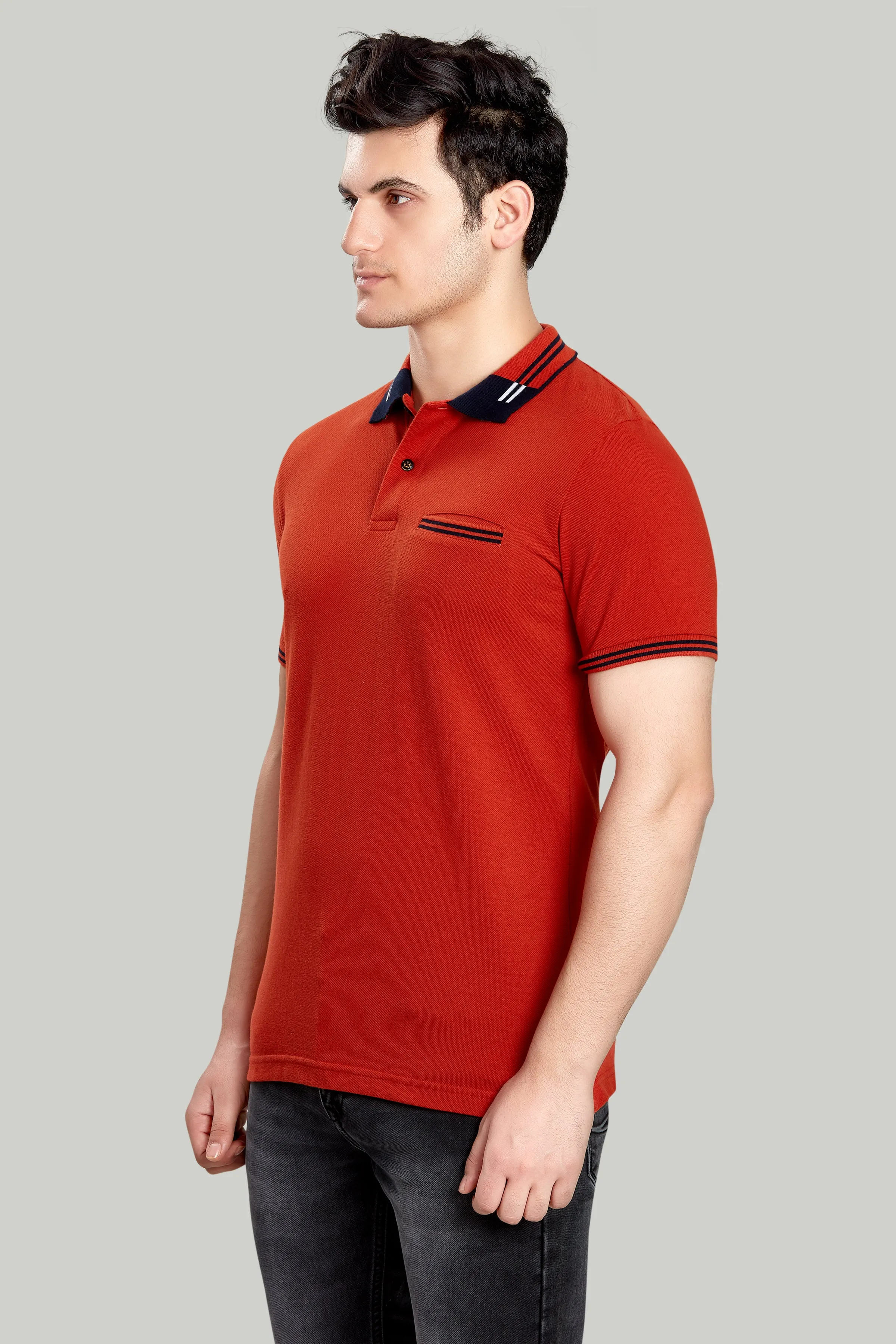 Tipped Collar Solid Polo
