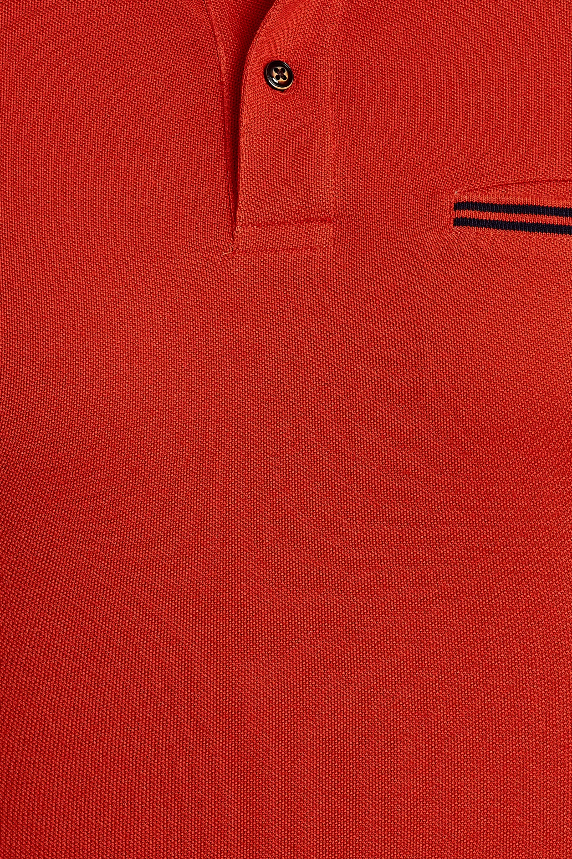 Tipped Collar Solid Polo